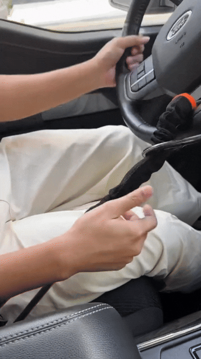 Steering lock physically locks the steering wheel